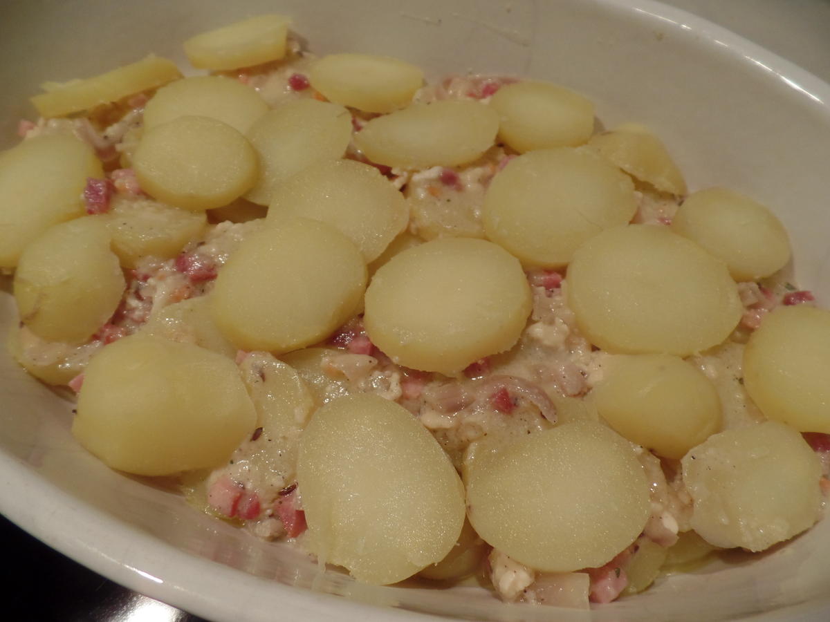 Kartoffelgratin mit Ziegenkäse - Rezept - Bild Nr. 4078