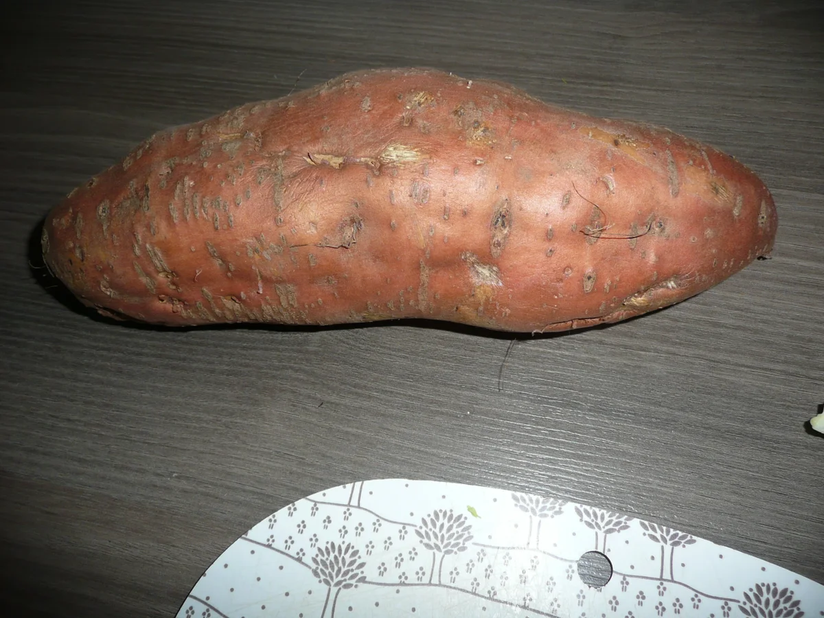 Zaubertöpfchen, eine Kleinigkeit zum Brunch. - Rezept - Bild Nr. 4096