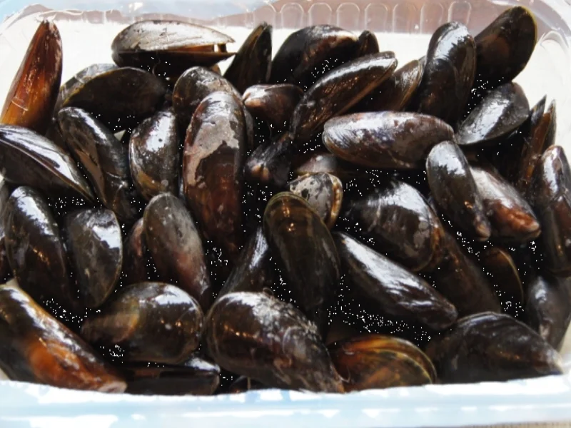 Miesmuscheln - Rezept - Bild Nr. 4101