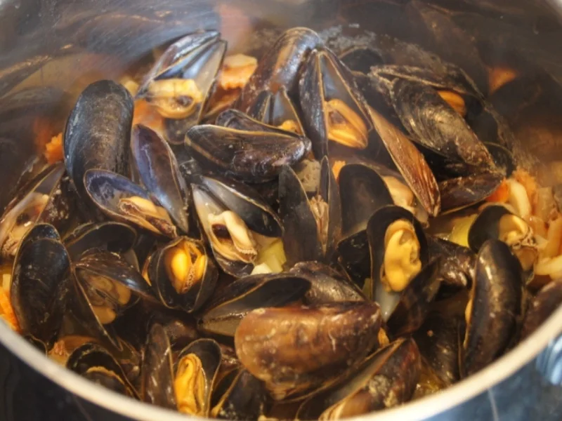 Miesmuscheln - Rezept - Bild Nr. 4106