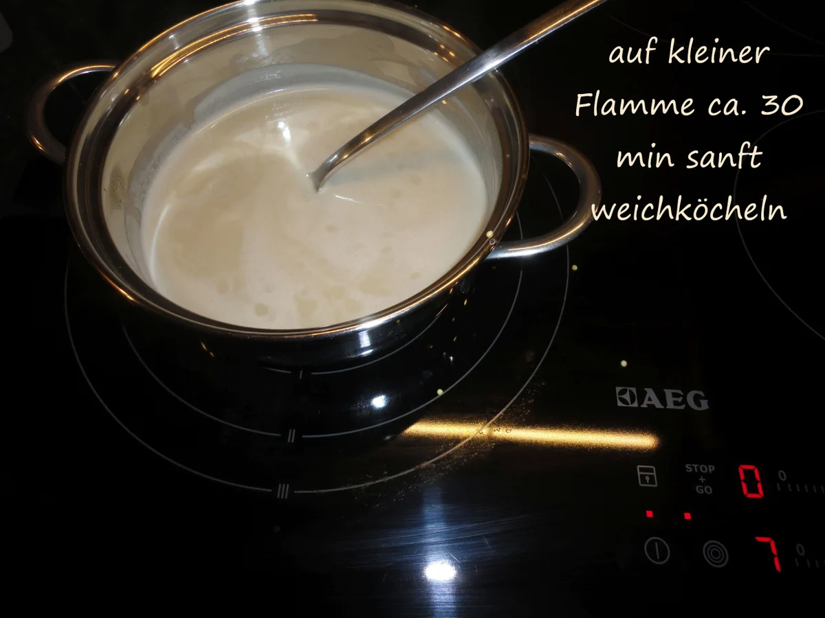 Schoko Hirse mit  "Hicks" - Rezept - Bild Nr. 4107