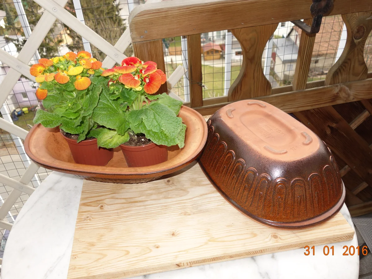 Rezept: Hühnerfilet im Römertopf Bild Nr. 4127 Hühnerfilet im Römertopf - Rezept - Bild Nr. 4127