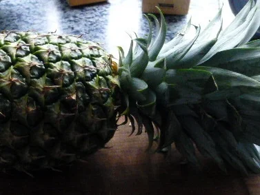 Rezept: Chinesisches Schweinefleisch Süss-Sauer Bild Nr. 4184 Chinesisches Schweinefleisch Süss-Sauer - Rezept - Bild Nr. 4184