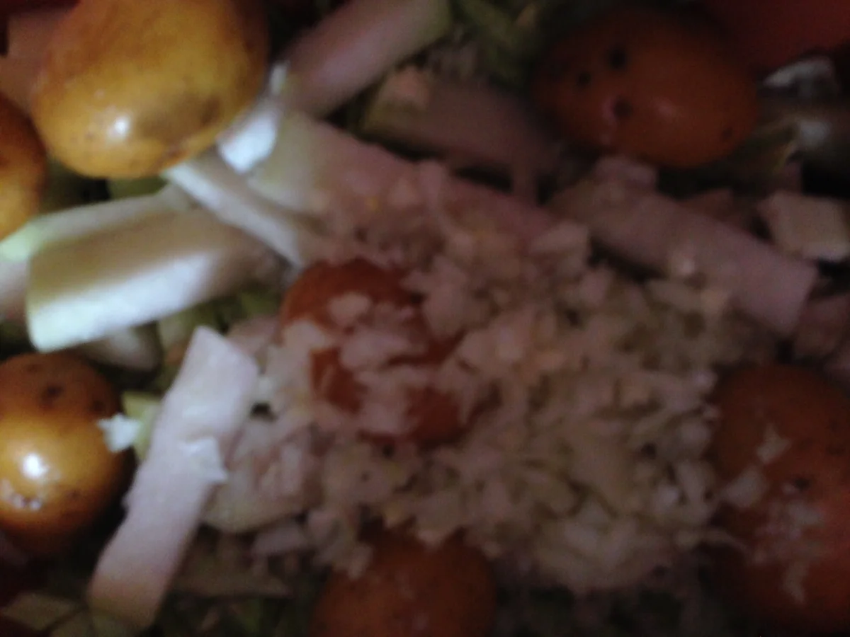 Rinderrouladen auf Wirsing Kohlrabigemüse mit Drillingen aus dem Römi - Rezept - Bild Nr. 4339