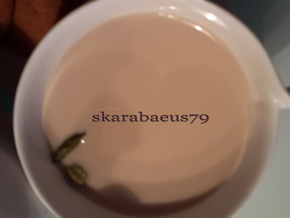 Rezept: Milch Tee (Gewürzt) Bild Nr. 4351 Milch Tee (Gewürzt) - Rezept - Bild Nr. 4351