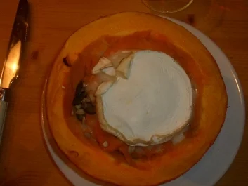 Kürbispüree mit Ziegenkäse überbacken - Rezept