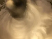 Avocadoparfait mit Kürbiskernkrokant - Rezept - Bild Nr. 4388