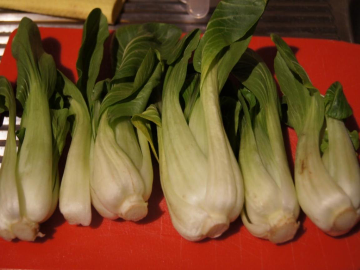 Warmer Baby Pak Choi Salat mit Hähnchenbrustfiletstreifen - einfach ...