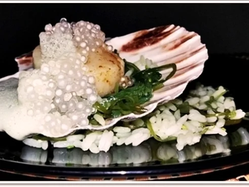 Rezept: Gebratene Jakobsmuscheln auf Reis-Wakame-Algensalat , Schaumsauce & „Perlen“ Bild Nr. 4431 Gebratene Jakobsmuscheln auf Reis-Wakame-Algensalat , Schaumsauce & „Perlen“ - Rezept - Bild Nr. 4431