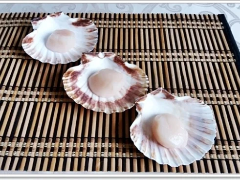 Rezept: Gebratene Jakobsmuscheln auf Reis-Wakame-Algensalat , Schaumsauce & „Perlen“ Bild Nr. 4434 Gebratene Jakobsmuscheln auf Reis-Wakame-Algensalat , Schaumsauce & „Perlen“ - Rezept - Bild Nr. 4434