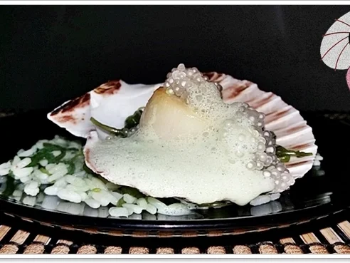 Rezept: Gebratene Jakobsmuscheln auf Reis-Wakame-Algensalat , Schaumsauce & „Perlen“ Bild Nr. 4447 Gebratene Jakobsmuscheln auf Reis-Wakame-Algensalat , Schaumsauce & „Perlen“ - Rezept - Bild Nr. 4447