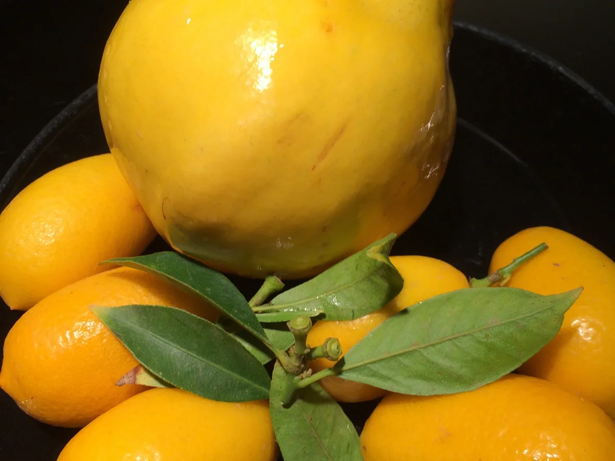 Quitte + Huhn - Rezept - Bild Nr. 4509