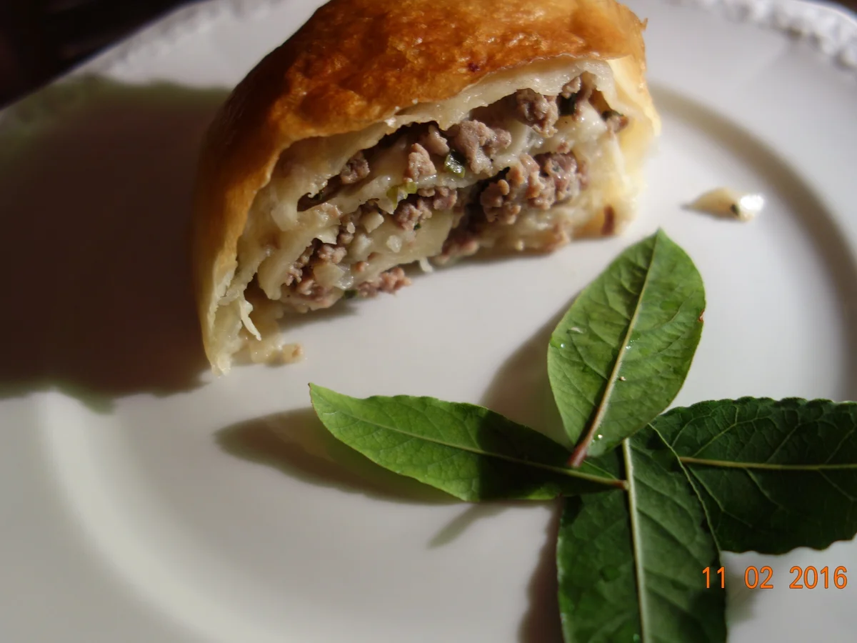 Hackfleisch schläft im Römertopf - Rezept - Bild Nr. 4521