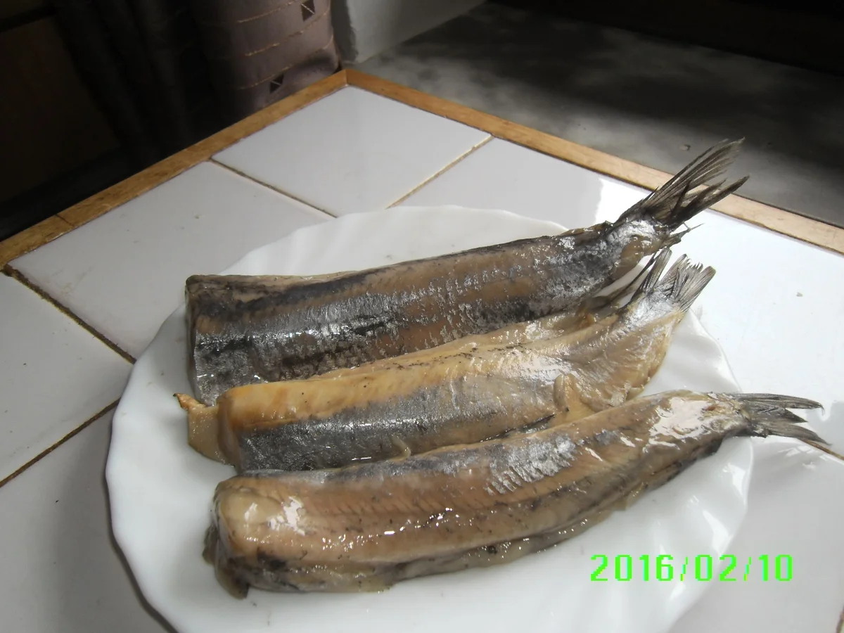 Rezept: Matjesfiltes in Marinade mit Pellkartoffeln und Eisbergsalat Bild Nr. 4524 Matjesfiltes in Marinade mit Pellkartoffeln und Eisbergsalat - Rezept - Bild Nr. 4524