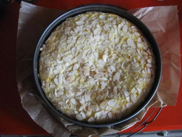 Nuss - Pudding Kuchen - Rezept - Bild Nr. 4560