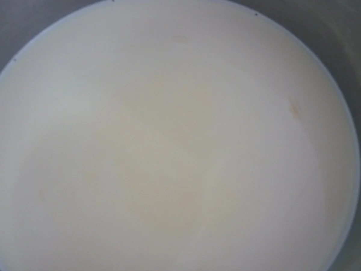 Rezept: Apfel - Pudding - Kuchen Bild Nr. 4561 Apfel - Pudding - Kuchen - Rezept - Bild Nr. 4561