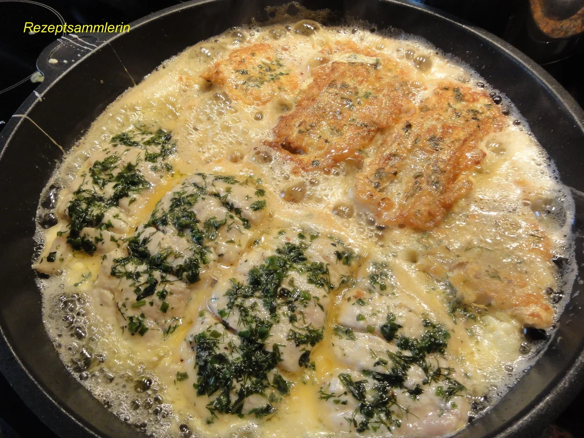 Fisch:   SEELACHS in  ~Kräuter-Ei~ - Rezept - Bild Nr. 4582