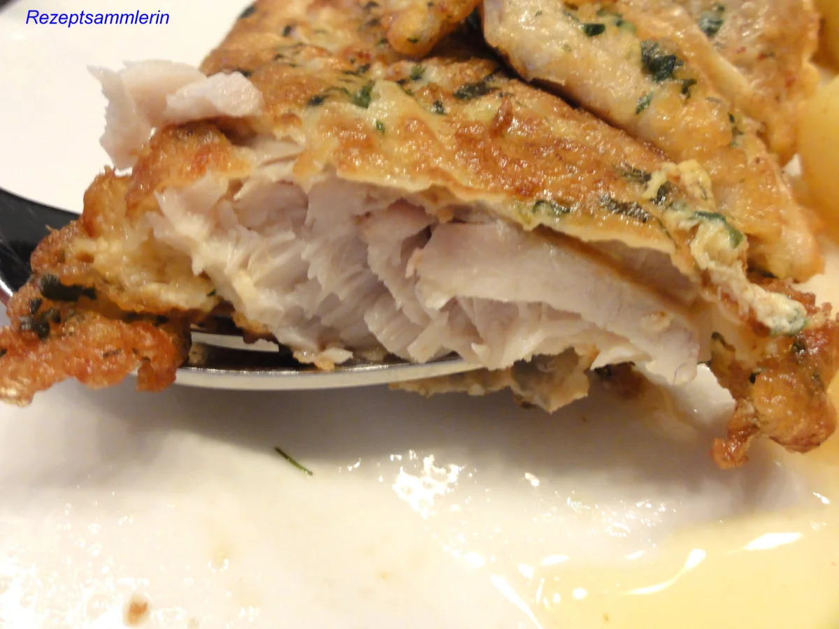Fisch:   SEELACHS in  ~Kräuter-Ei~ - Rezept - Bild Nr. 4584