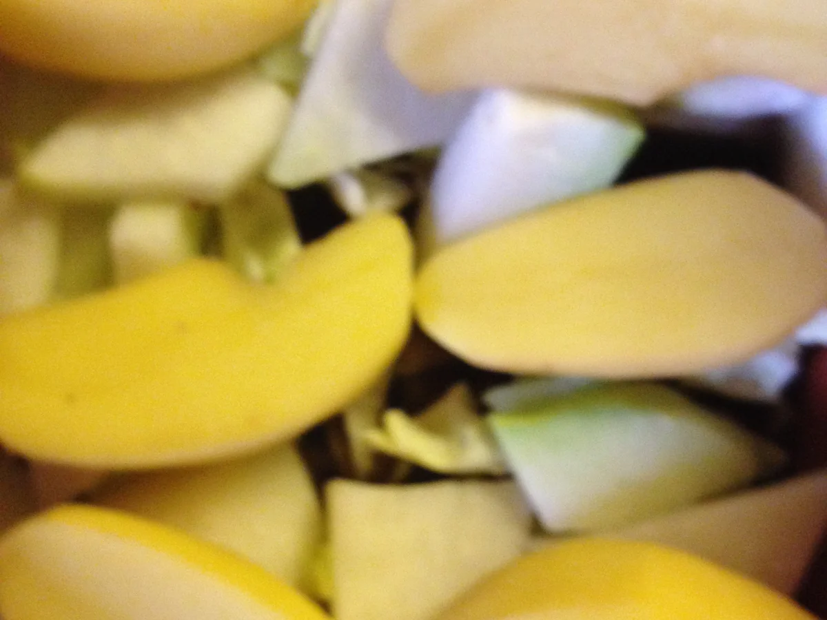 Schweinelende aus dem Römi - Rezept - Bild Nr. 4618