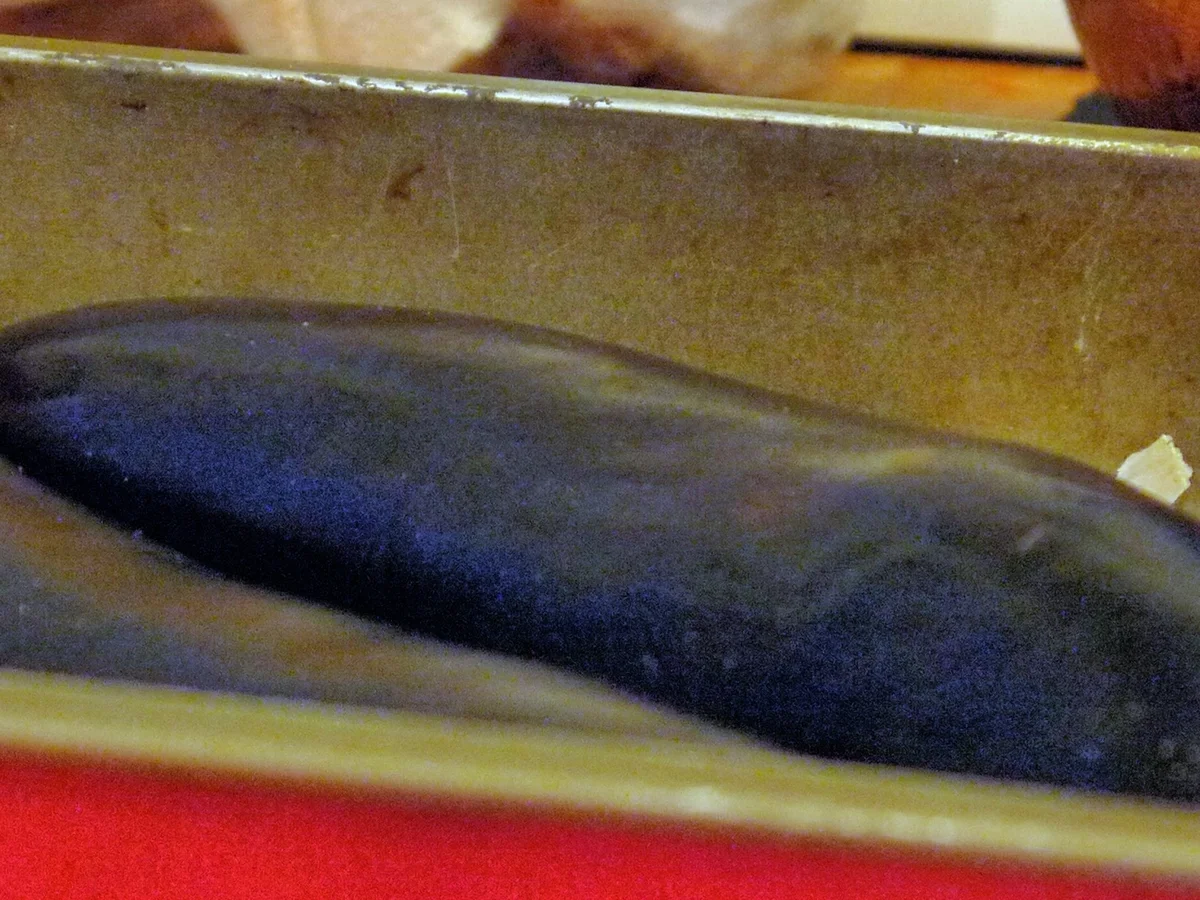 Skreifilet mit Auberginenpüree und Granatapelkernen - Rezept - Bild Nr. 4638