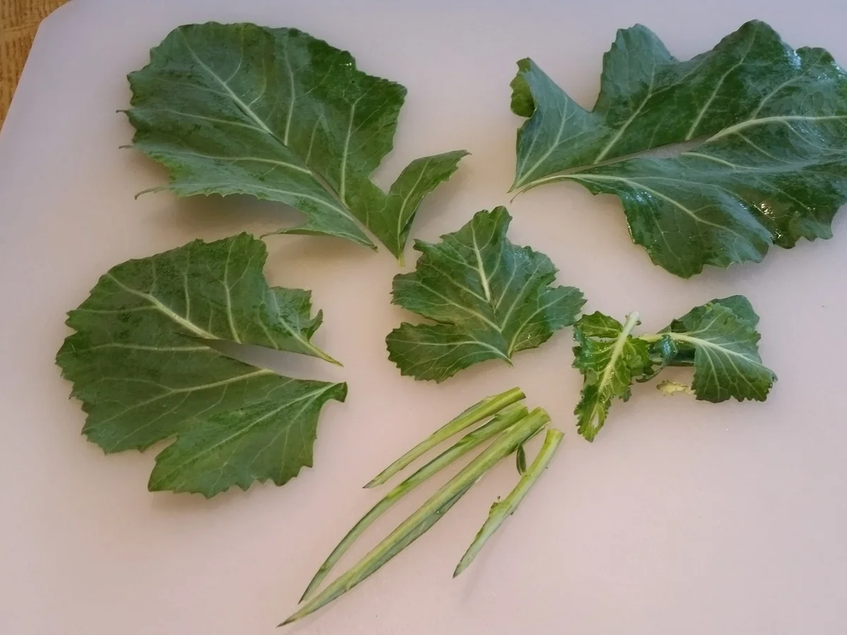 Römertopf: Graupensuppe mit Lammfleisch - Rezept - Bild Nr. 4673