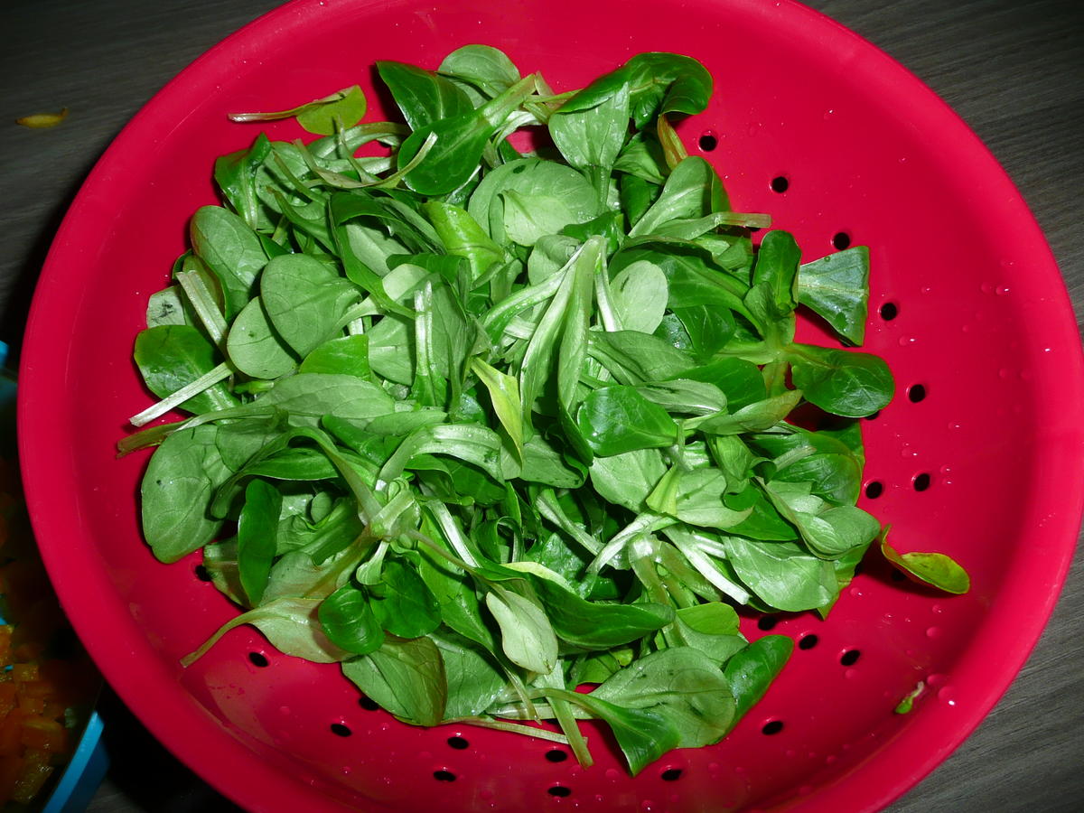 Ramgeschnetzeltes an Natur + Wildreis + Feldsalat. - Rezept - Bild Nr. 4673