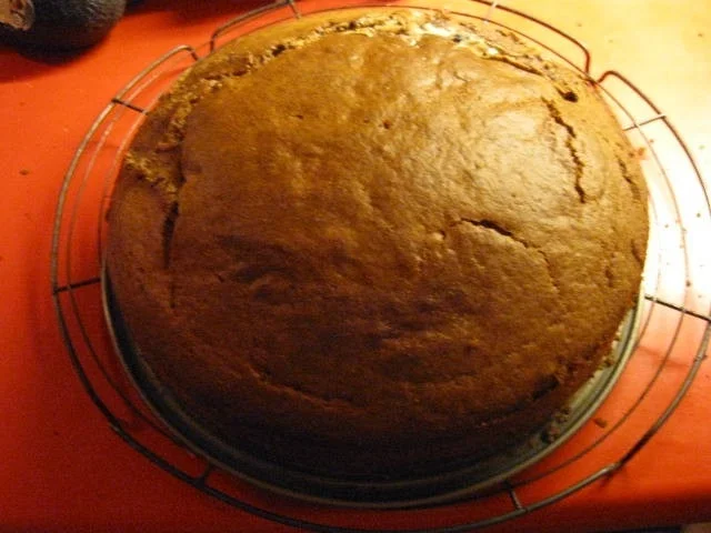 Rührkuchen mit Milky Way Minis - Rezept - Bild Nr. 4723