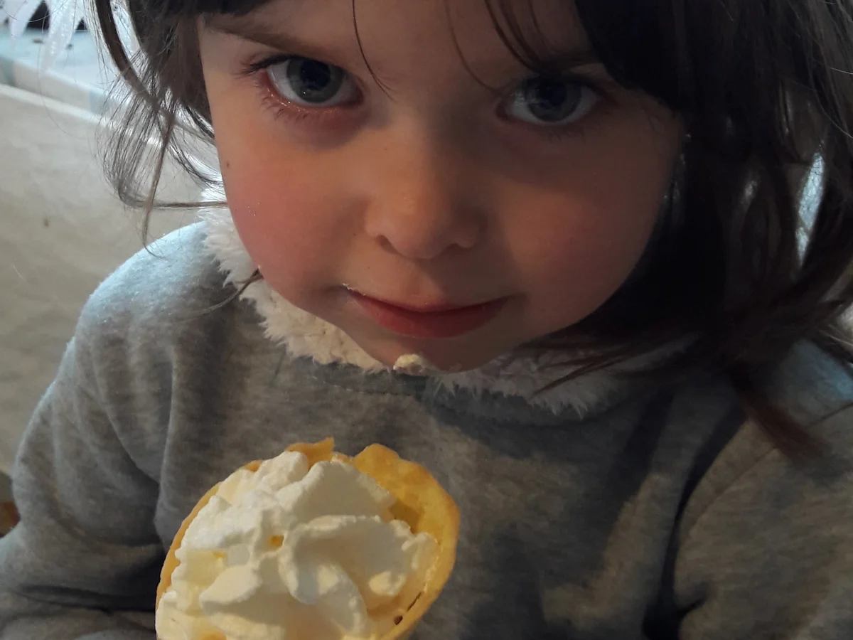 Rezept: Waffelhörnchen aus Biskuitteig Bild Nr. 4758 Waffelhörnchen aus Biskuitteig - Rezept - Bild Nr. 4758