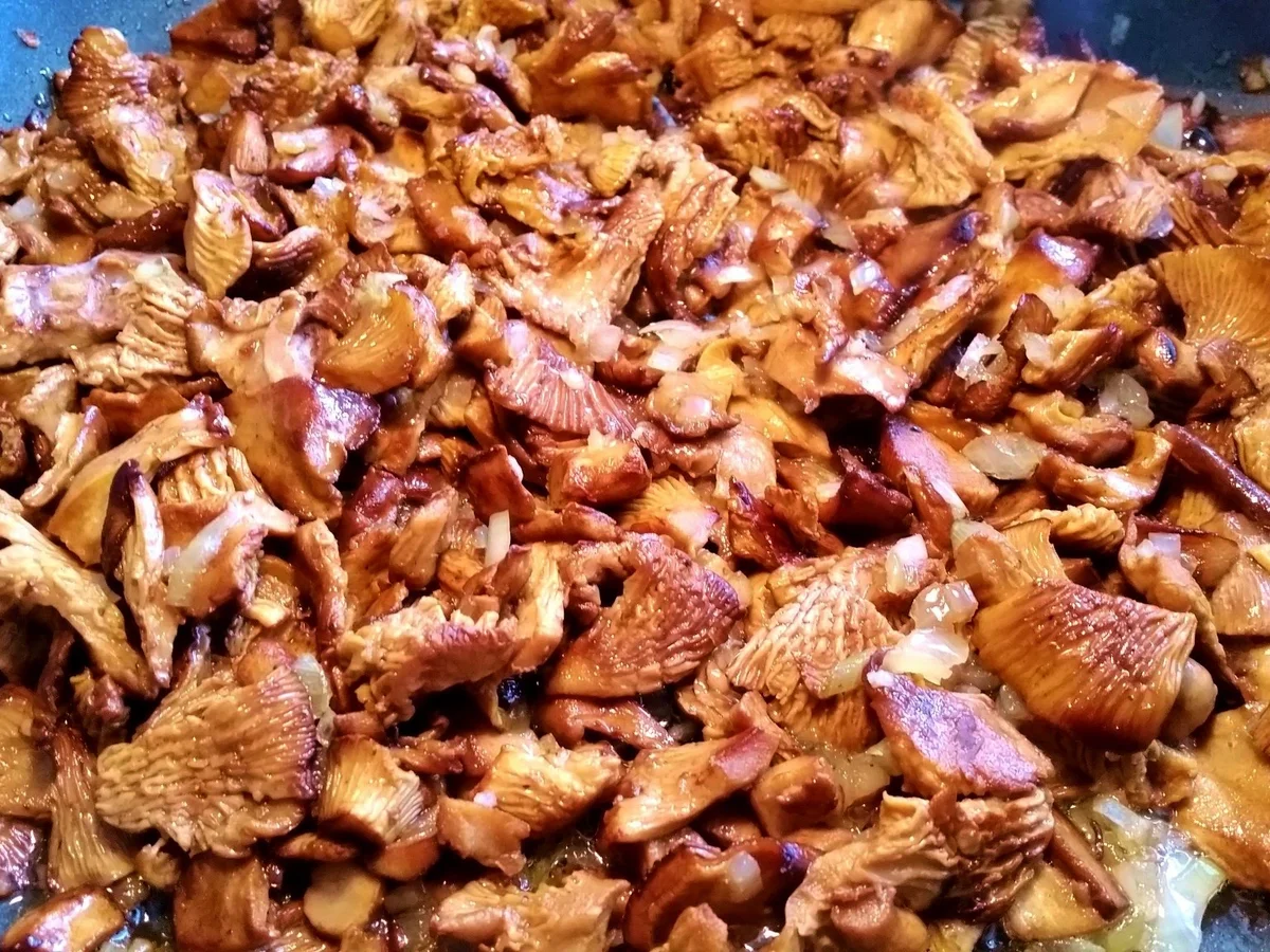 Rezept: Pfifferlinge im Februar ... Bild Nr. 4761 Pfifferlinge im Februar ... - Rezept - Bild Nr. 4761