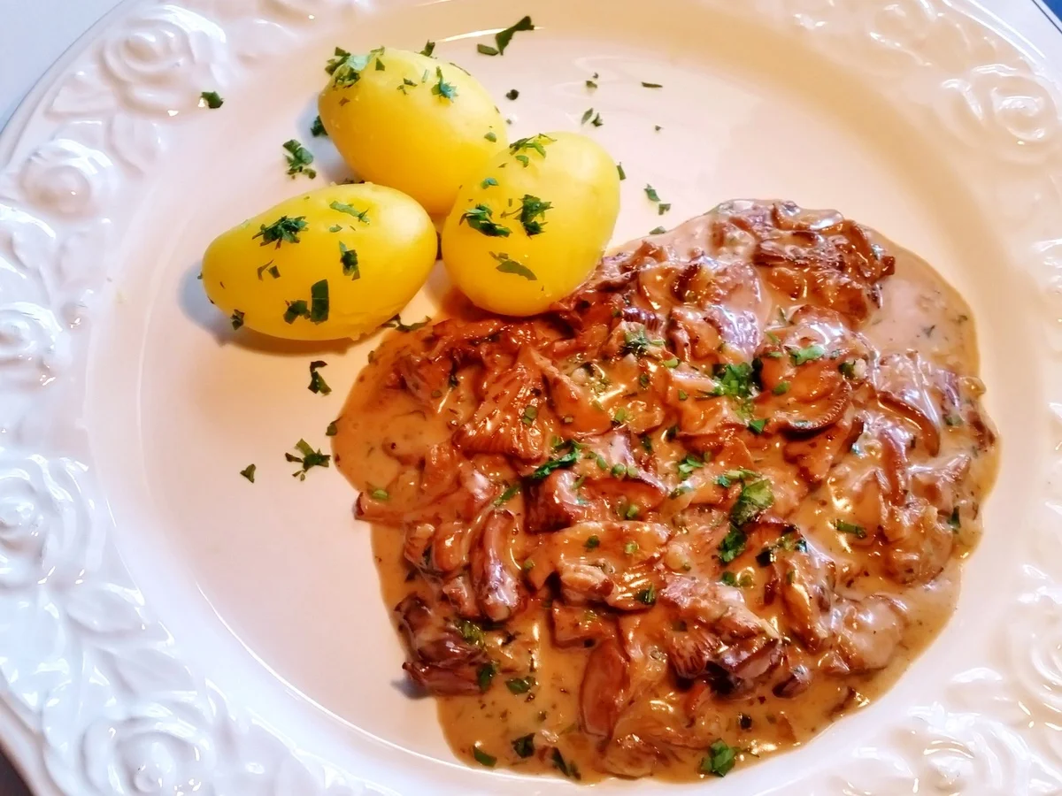 Rezept: Pfifferlinge im Februar ... Bild Nr. 4763 Pfifferlinge im Februar ... - Rezept - Bild Nr. 4763