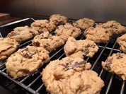 Peanutbutter Cookies - Rezept - Bild Nr. 4769