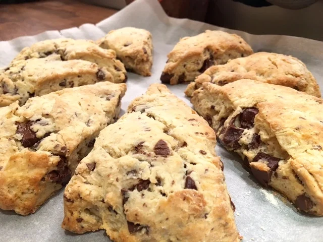 Rezept: Scones mit Schokolade-Brocken Bild Nr. 4800 Scones mit Schokolade-Brocken - Rezept - Bild Nr. 4800