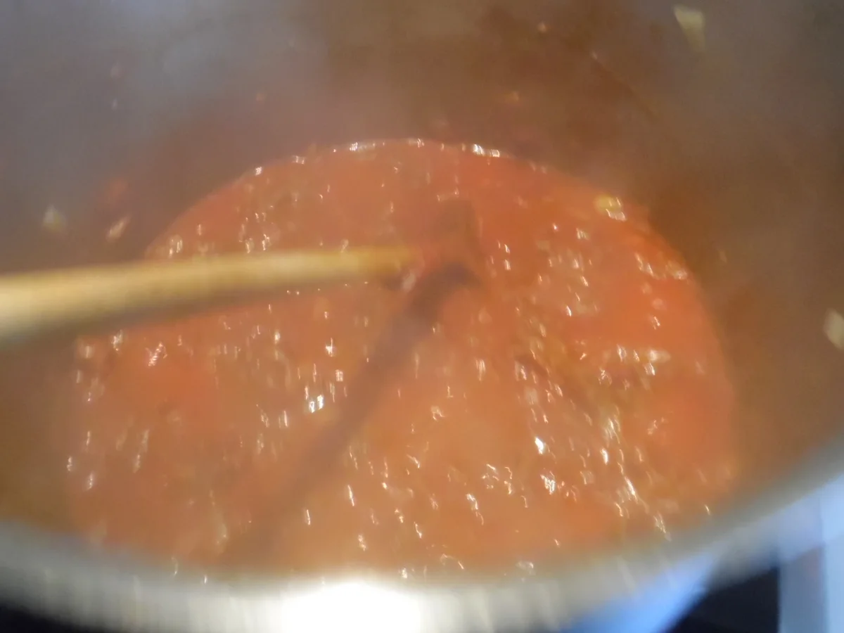 Pizza-Suppe - Rezept - Bild Nr. 4797