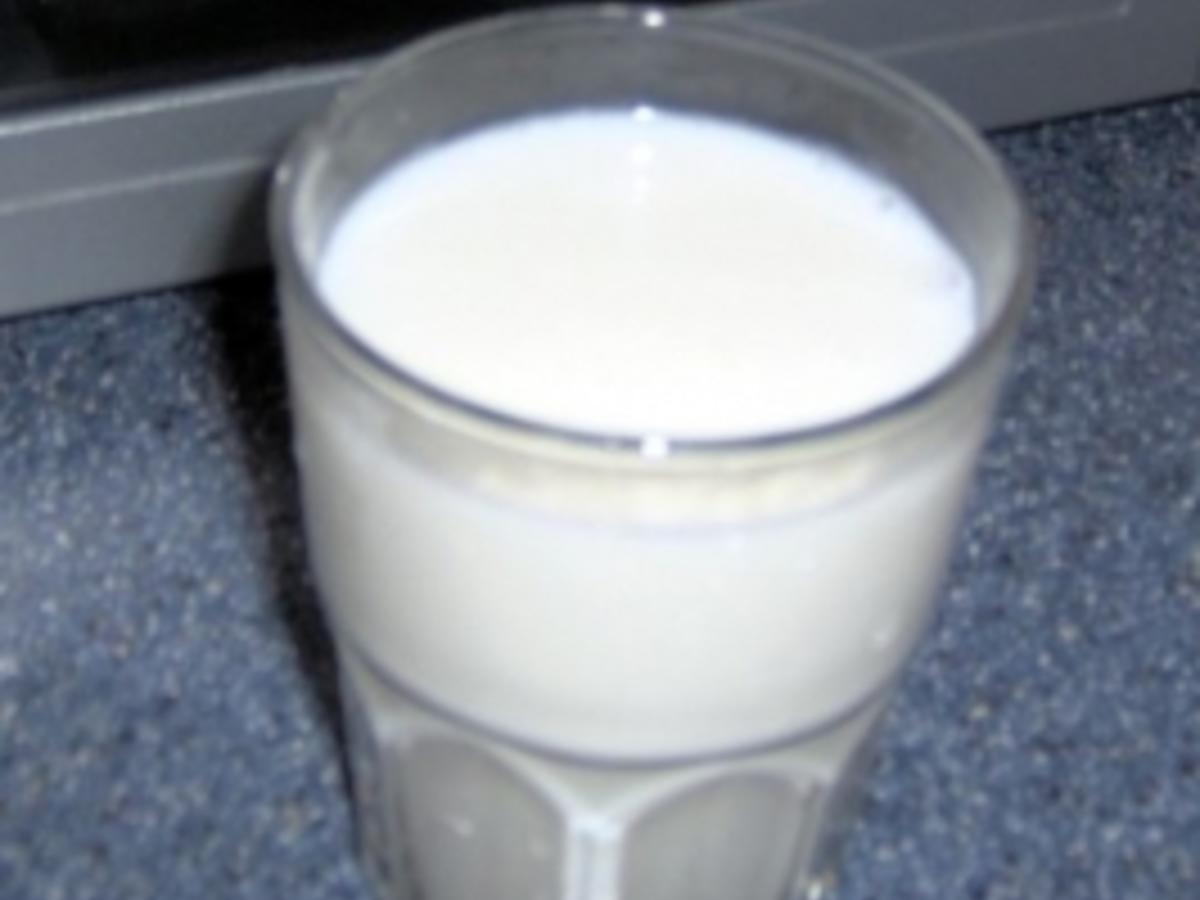 Joghurtgetränk Ayran - schnell &amp; einfach