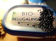 Belugalinsensuppe - Rezept - Bild Nr. 4910