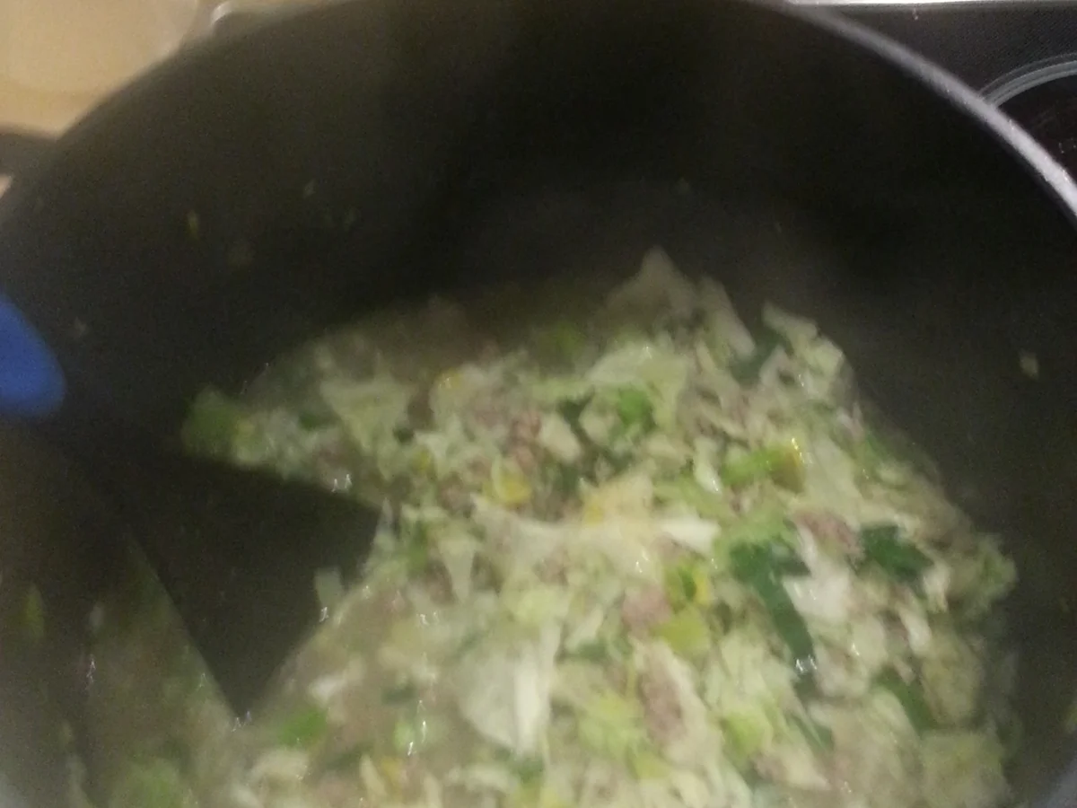 Wirsing-Laucheintopf mit Rindfleisch (geeignet bei einer  Stoffwechselkur ) - Rezept - Bild Nr. 4930