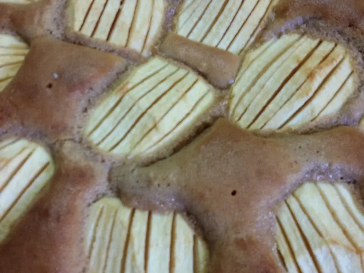 Apfel Zimt Kuchen - Rezept - Bild Nr. 4969