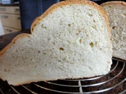 Brot:   DINKELKNOTEN (Weißbrot) - Rezept - Bild Nr. 4957