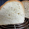 Brot:   DINKELKNOTEN (Weißbrot) - Rezept - Bild Nr. 4957