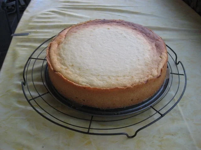 Käsekuchen mit Kokosmilch und Kirschen - Rezept - Bild Nr. 5048