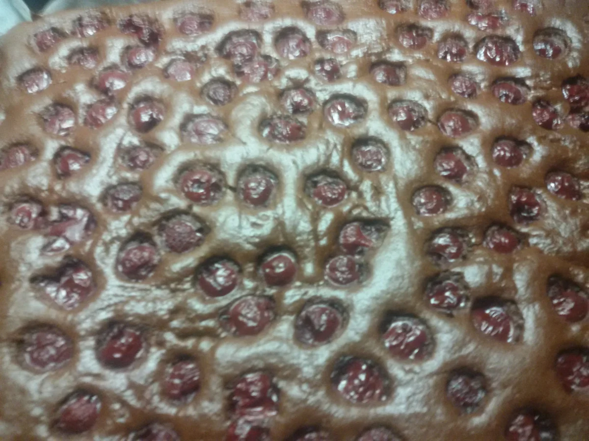 Schoko - Kirsch Blechkuchen - Rezept - Bild Nr. 5036
