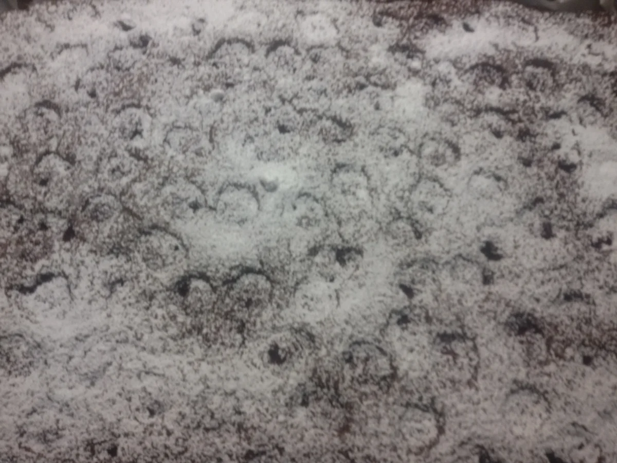 Schoko - Kirsch Blechkuchen - Rezept - Bild Nr. 5037