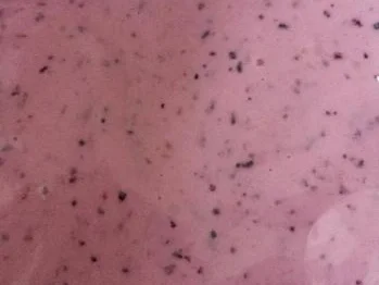 Rezept: Himbeere/Blaubeere Quarkshake Bild Nr. 5037 Himbeere/Blaubeere Quarkshake - Rezept - Bild Nr. 5037