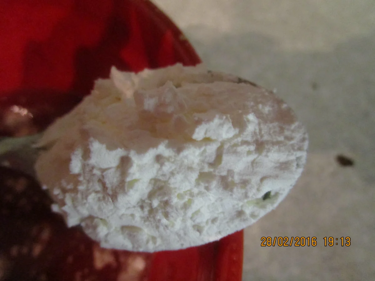 Rezept: Gebratenes Hähnchen mit Ingwer Bild Nr. 5052 Gebratenes Hähnchen mit Ingwer - Rezept - Bild Nr. 5052