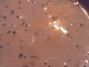 Früchte Quarkshake - Rezept - Bild Nr. 5049