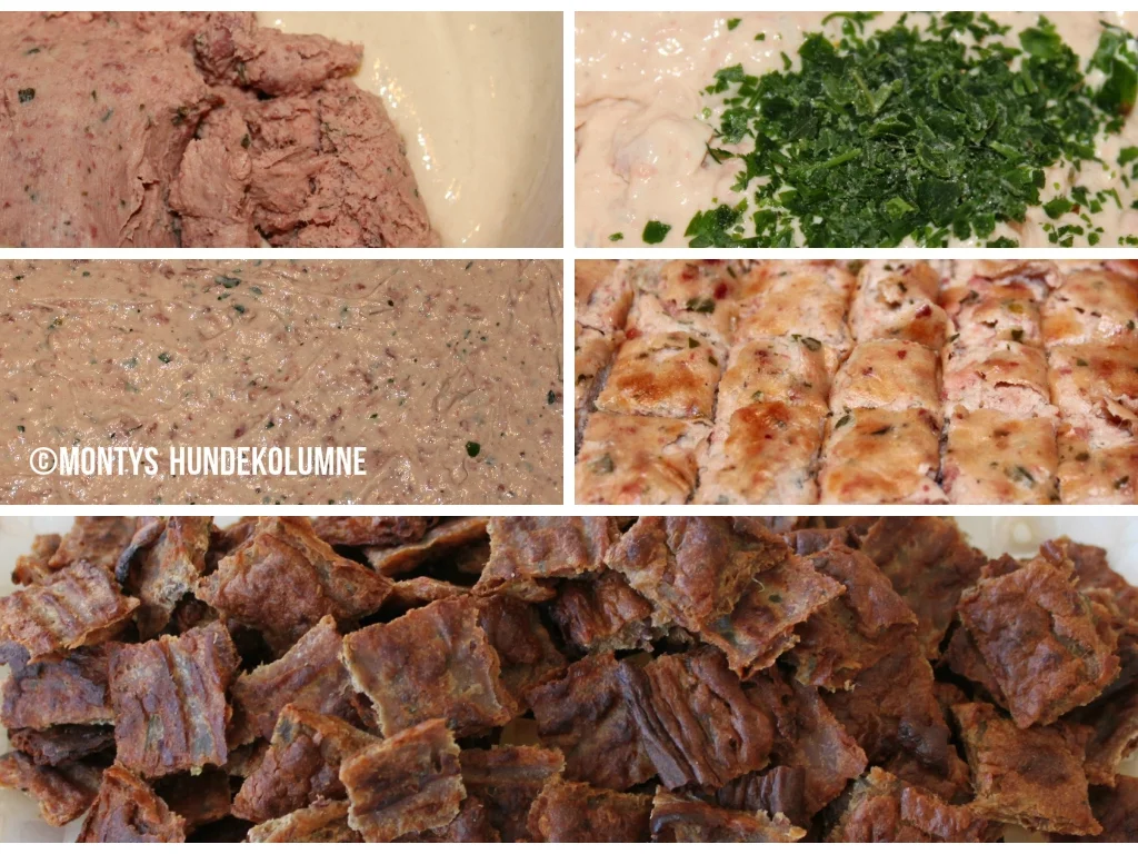 Hundekekse - Rezept - Bild Nr. 5080