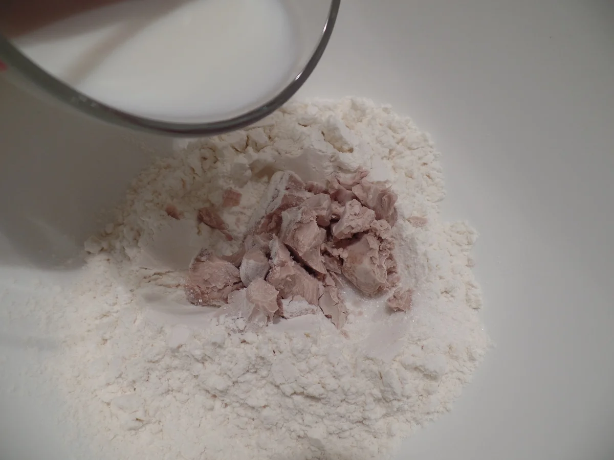 Kartoffel-Pizza - Rezept - Bild Nr. 5066