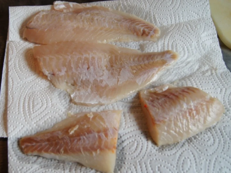 Rezept: Rotbarschauflauf römischer Art Bild Nr. 5154 Rotbarschauflauf römischer Art - Rezept - Bild Nr. 5154