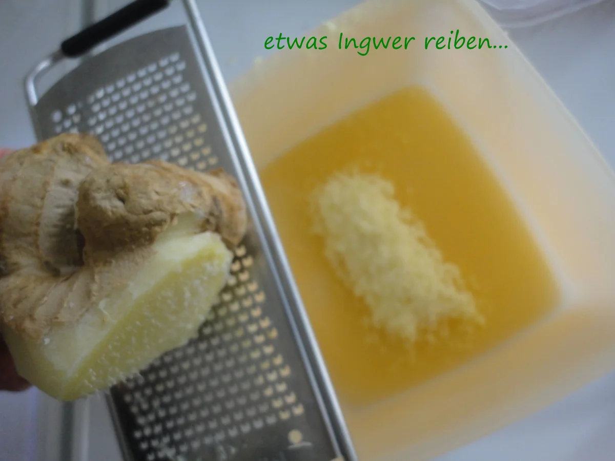 Malaysisches Kokos Hühnchen - Rezept - Bild Nr. 5231