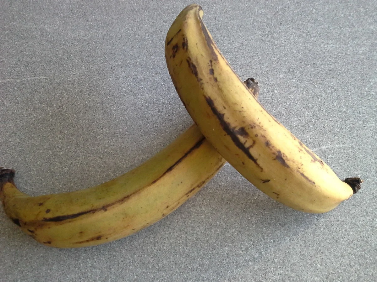 Thunfisch Sticks (Fischstäbchen) mit Kochbanane à la Biggi - Rezept - Bild Nr. 5272